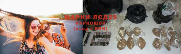 гидра Бугульма
