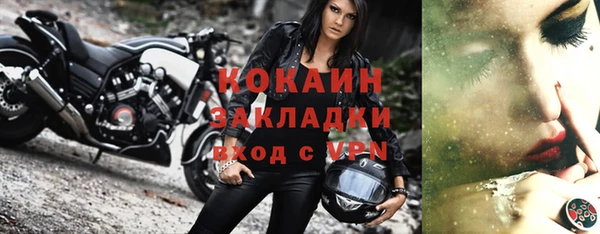 не бодяженный Бородино